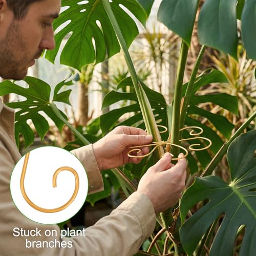 COMNICO Plant Stem Support 6 Pcs Monstera Durable Metal Plant Holder Stakes