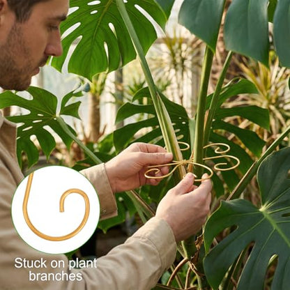COMNICO Plant Stem Support 6 Pcs Monstera Durable Metal Plant Holder Stakes