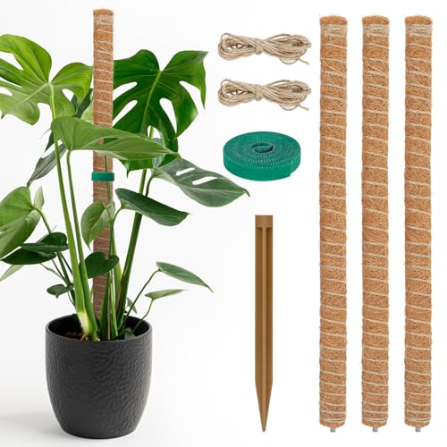 54 Inch Moss Pole, for Climbing Plants Indoor