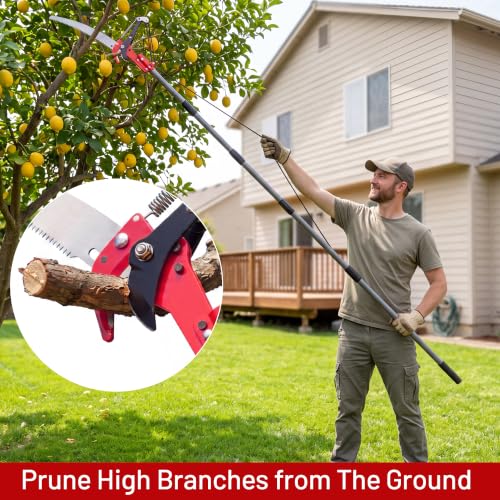 Suchtale 10FT Pole Tree Pruner for High Branch Trimming with Saw - size: 10FT