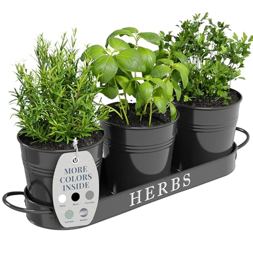 Barnyard Designs Indoor Herb Garden Planter Pots with Tray Set/3 (Black) - color: Black