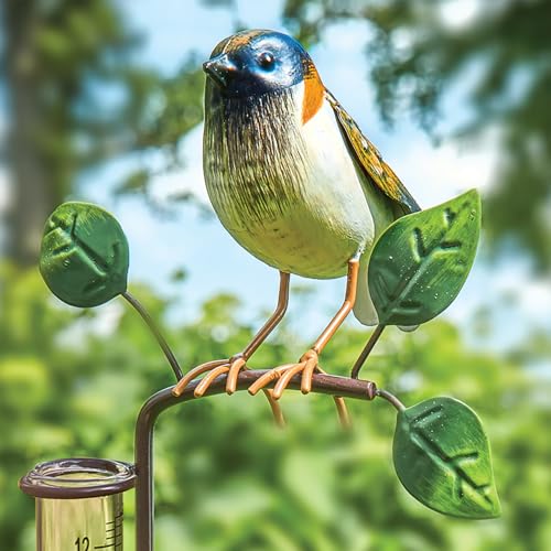 Bits and Pieces Bird Rain Gauge, 5 Inch Glass Tube, 39" Tall