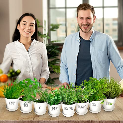 Herb Garden Starter Kit - 8 USA Culinary Herbs - color: 8 Herb