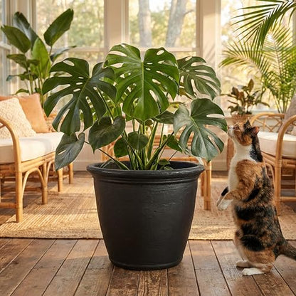 Sunnydaze Anjelica 24'' Large Plastic Planter Pot for Plants, Black - color: Matte Black, size: 24 in