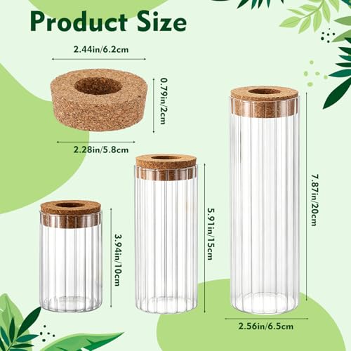 6 Sets Glass Plant Propagation Vases Cork Lid, 3 Size Desktop