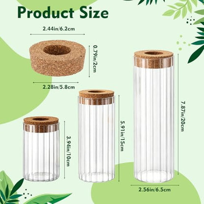 6 Sets Glass Plant Propagation Vases Cork Lid, 3 Size Desktop