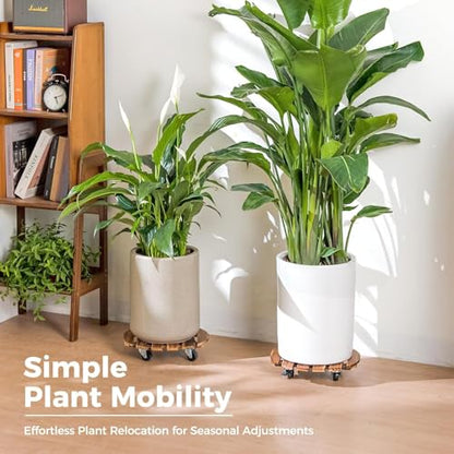 Bamworld Plant Caddy 14 Inch Wood Dolly with Wheels 2 Pack - size: 14inch-Round-2 pack