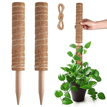 Pisol Moss Pole for Plants Monstera, Extendable Plant Sticks Support, 2Pcs