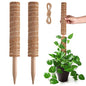 Pisol Moss Pole for Plants Monstera, Extendable Plant Sticks Support, 2Pcs