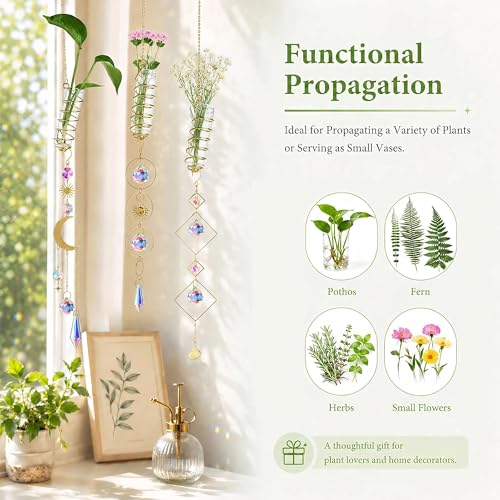 6Pcs Crystal Suncatchers with Propagation Stations Glass Wall Planters - color: Golden-6pcs