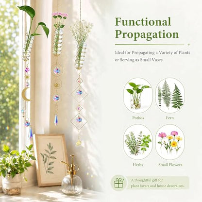 6Pcs Crystal Suncatchers with Propagation Stations Glass Wall Planters - color: Golden-6pcs