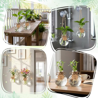 Plastic Window Propagation Stations Hanging Plant Propagation Vases