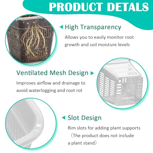 BTPLASTIK Clear Square Nursery Pots, 30 Packs 4 Inch Clear Hydroponics Growing Square Pots, Transparent Plastic Plant Pots for Seed Starting, Root Cutting - size: 4 Inch-30P