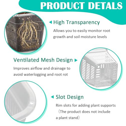 BTPLASTIK Clear Square Nursery Pots, 30 Packs 4 Inch Clear Hydroponics Growing Square Pots, Transparent Plastic Plant Pots for Seed Starting, Root Cutting - size: 4 Inch-30P