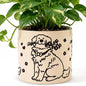 STHIE Ceramic Planters with Drainage Holes, 5 Inch Pots for Indoor Plants - color: Cy-goldflower02