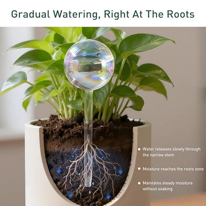 Extra-Thick Glass Plant Watering Globes, Iridescent Hand-Blown, 2 Pack - size: Regular – 2 Pack