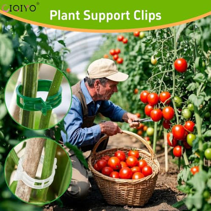 100 Pcs Plant Support Clips,Plastic Clips for Securing Plants - color: Green
