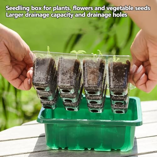 6-Pack Seed Starter Tray Kit with Grow Light