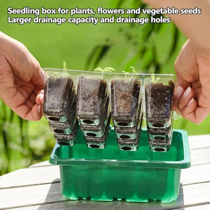 6-Pack Seed Starter Tray Kit with Grow Light