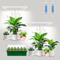 Aumtrly Plant Light White 2 Pack, Desk LED Grow Lights for Indoor Plants - size: 2 Pack/white