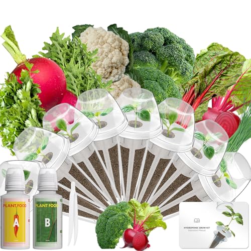 Vegetables Seed Pod Kit Compatible with idoo,Ahopegarden,Gardencube with Radish,Ruby Queen Beet,Cauliflower,Celery,Onion,Broccoli,Swiss Chard,Arugula-Suitable for Hydroponics Growing System(8-Pod) - color: Tender Vegetables