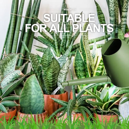 Indoor House Plant Watering Can Small Long Spout Water Pot 2L/67oz (Green) - color: Green