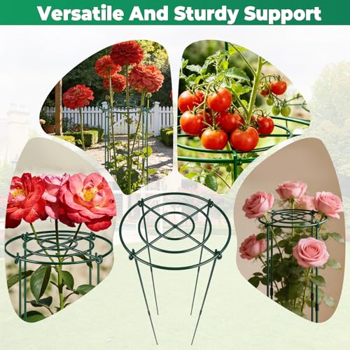 QwayHome 6Pack Peony Cages and Supports 33''H x 13''D Grow Through Large Plant Support, Adjustable High, Heavy Duty, Rust-Resistant, Round, Flower Support Cage Ring for Rose Tomato Hydrangea - size: 6Pack- 13"D x 33"H
