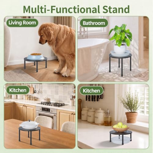 LASZOLA 5Pcs Metal Short Plant Stand Indoor Outdoor with Saucers, Small - color: Black with Saucers