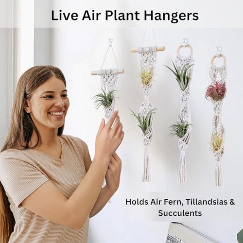 2 Tier 4 Pack Air Plant Holder, Air Plant Wall Hanger - color: White, size: 2-Tier