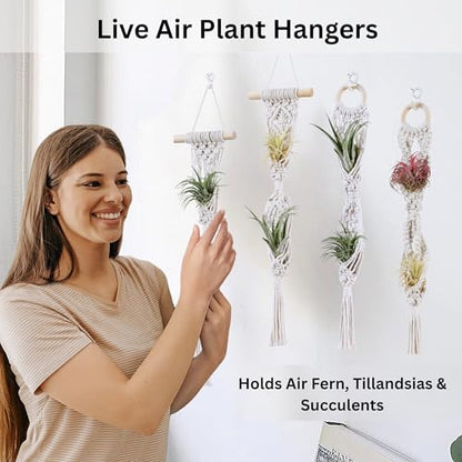 2 Tier 4 Pack Air Plant Holder, Air Plant Wall Hanger - color: White, size: 2-Tier