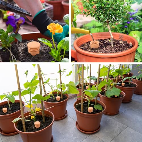 3pcs Terracotta Plant Watering Globes 3.5 * 10inch Terracotta Watering Pots Self Watering Planter 900ml for Indoor Outdoor Plants Clay Plant Watering Globes Planter Insert Watering Pots - style: Ｇ
