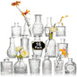Arme Glass Bud vases in Bulk，Small Glass Flower Vase for Centerpieces 16Pcs - color: Clear-16pcs, size: 16 Pcs