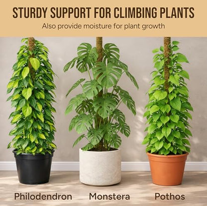 Craft911 Moss Pole Monstera Plant Support, 2 Pack 64" Bendable - size: 2-Pack (64 in)