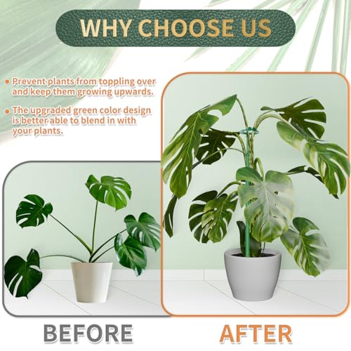Telescoping Plant Stakes, 5Pcs 17.9IN to 42.3IN Adjustable Monstera Support - size: 42.3Inches 5Pack