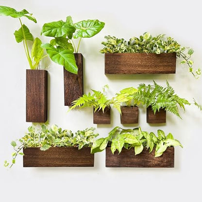 LaLaGreen Wood Planter Box for Plants (8 Pack) Wall Planters for Indoor - size: 8-pc Set