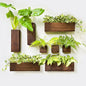 LaLaGreen Wood Planter Box for Plants (8 Pack) Wall Planters for Indoor - size: 8-pc Set