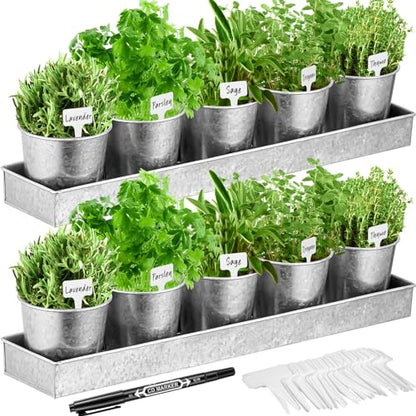 FoldTier 2 Sets Indoor Herb Garden Planter Kit with 10 Metal Pots, Silver - color: Sliver