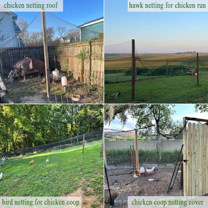 Bird Netting for Chicken Coop 30x30 Ft, 1/2" Mesh Aviary Netting - size: 30x30Ft-1/2"