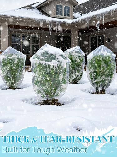 Alphatool 10 x 20 ft Greenhouse Cover Plastic Sheeting for Outdoor Plants - size: 10 x20 ft