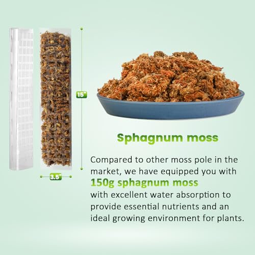 EOX Plastic Moss Pole Kit for Monstera, 15-Inch, 4-Pack, 5.3oz Moss