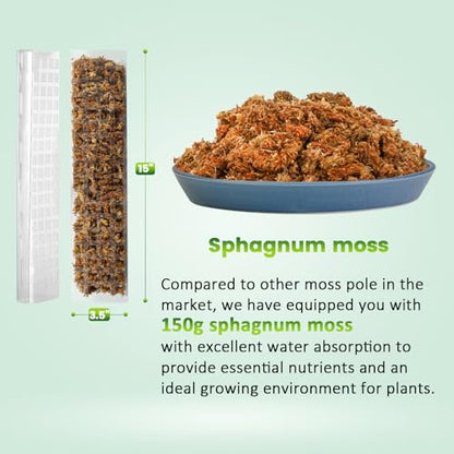 EOX Plastic Moss Pole Kit for Monstera, 15-Inch, 4-Pack, 5.3oz Moss