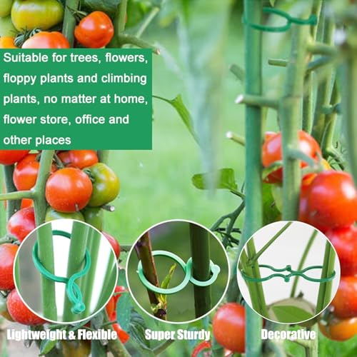 Hysagtek 100 Pcs Plant Clips for Climbing Plants Garden Clips Plant Support Clips for Tomato Gardening Clips Vegetable Clips for Support for Securing Plants - size: 100 Pcs