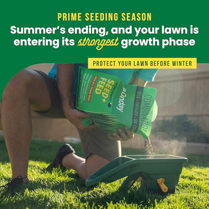 Sunday Northwest Grass Seed & Fertilizer with Tall Fescue - Sun & Shade