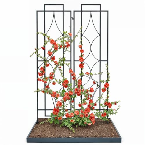 IDZO 2-Piece Diamonds Design Decoration Trellis, Metal Decorative Trellis for Climbing Plants Outdoor, Garden Trellis for Climbing Plants, Climbing Rose Trellis, 48-Inch Tall Each, Black - color: Diamond Shape, style: Decorative