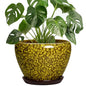 8 Inch Flower Pot, Ceramic Planters with Drainage, Yellow Leopard - color: Yellow Leopard, size: 8 Inch