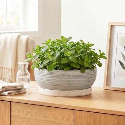 10 Inch Ceramic Bonsai Tree Pots with Saucer, Brushed Grey - color: Brushed Grey, size: 10 Inch