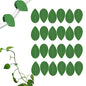 LUOTIVON 24 Pcs Plant Climbing Wall Fixture Clips, Plant Fixer Invisible Wall Vines Fixing Clips with 24 Pcs Acrylic Adhesive Sticker, Self-Adhesive Hook Plant Vine Support Holder