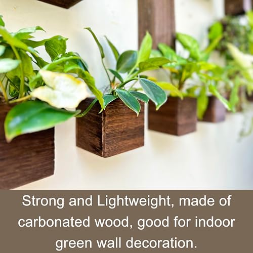 LaLaGreen Wood Planter Box (4x4, 2 Pack) Small Square Indoor Wall Planters - size: 4x4" x 2 pack