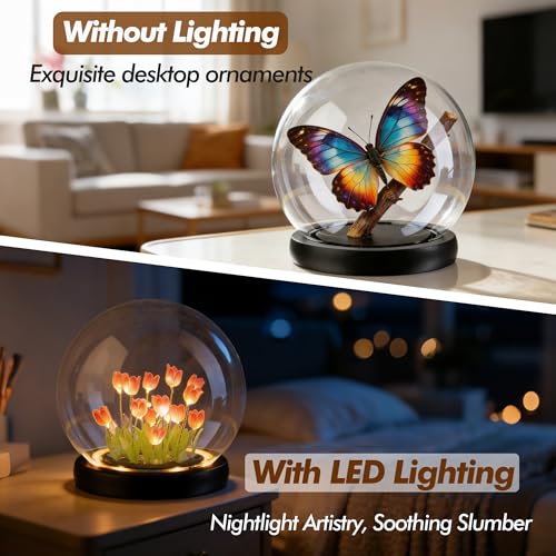 Cloche Glass Dome with LED Base, Round Glass Display Bell Jar, 6 Inch