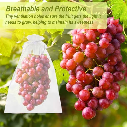 uxcell 20pcs Fruit Protection Bags 15.7x11.8 Garden Netting Cover Bag Pink - color: Pink